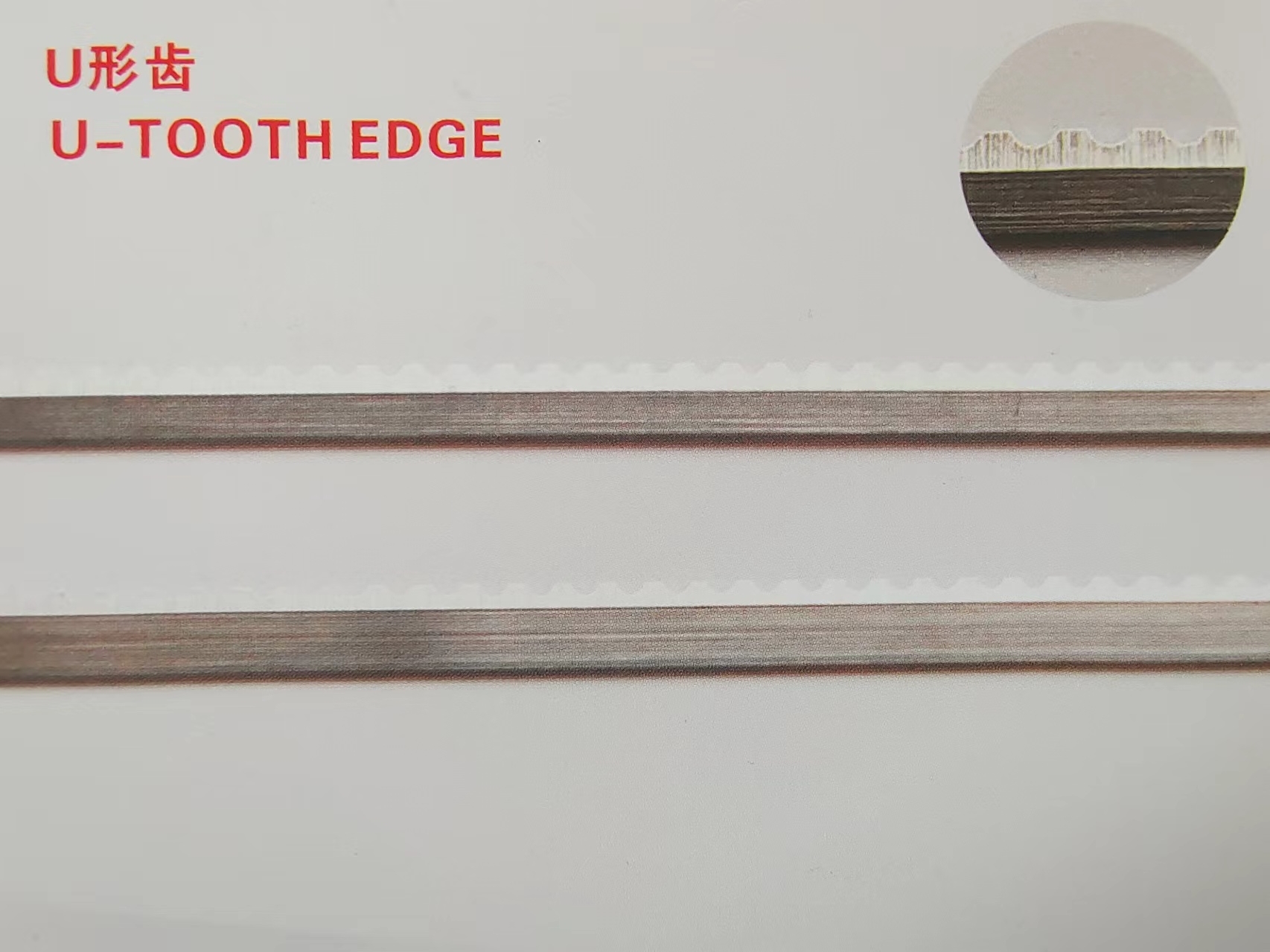U型齿